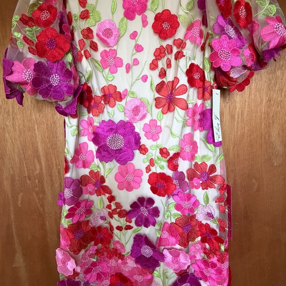 NWT Eliza J Size 6 Embroidered Floral Puff-Sleeve Shift Mini Dress - Picture 2 of 7